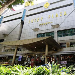 Lucky Plaza (D9), Apartment #504316231